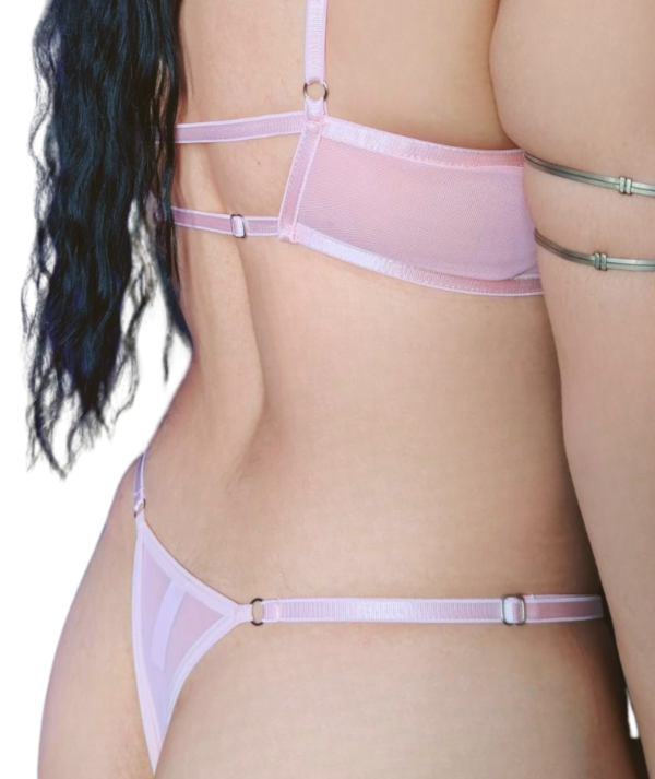 Apasionada - Image 4
